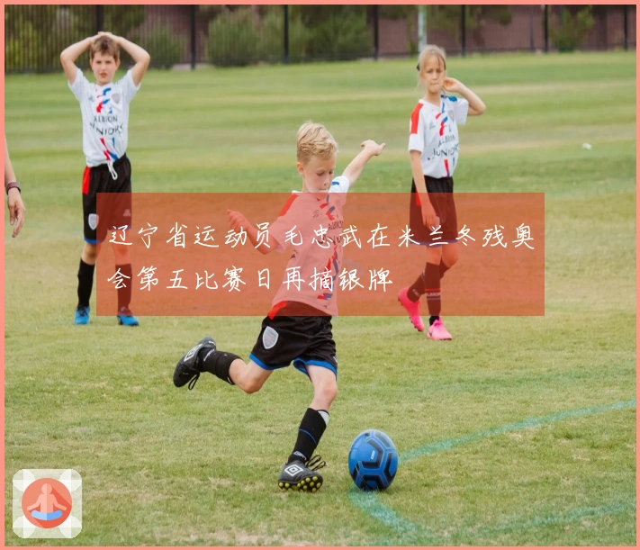 辽宁省运动员毛忠武在米兰冬残奥会第五比赛日再摘银牌